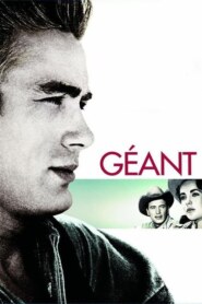 GEANT