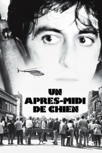 UN APRES-MIDI DE CHIEN Streaming VF 