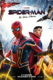 SPIDER-MAN : NO WAY HOME (VL)