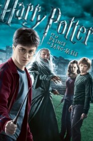 HARRY POTTER ET LE PRINCE DE SANG-MELE