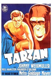 TARZAN L’HOMME SINGE